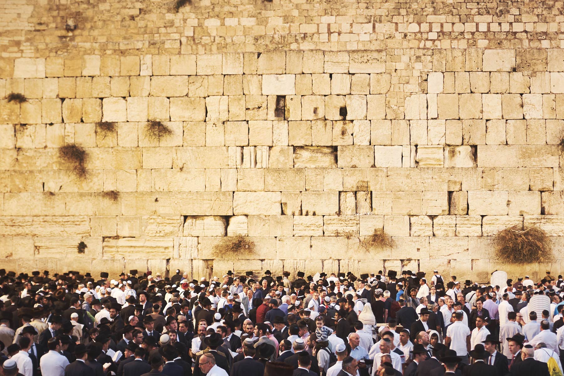 The Western (Wailing) Wall Memories of a Moon Bird